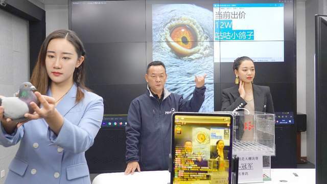 小众|快手电商生态日益丰富成熟 小众行业增速爆发近100%