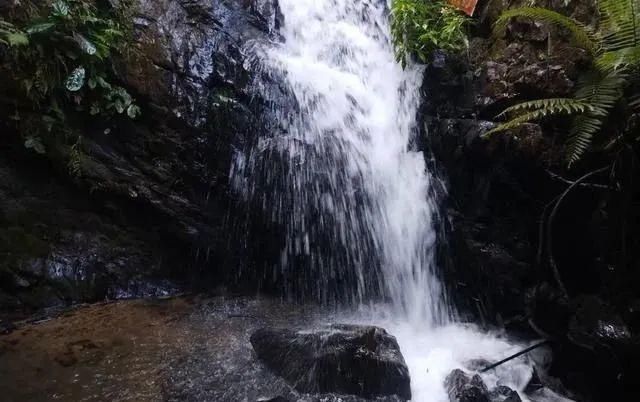 玉林|约起！玉林新增一国家AAA级景区，地址在……