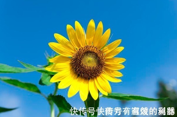 财运$时来运转的人,都有4个能力,具备其中一个就能“财运大发”!