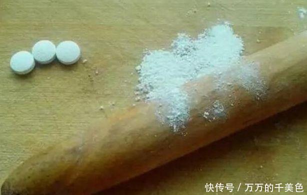 高手|高手养君子兰，1片叶子长1株，蘸点它2周窜白根，3年养200棵