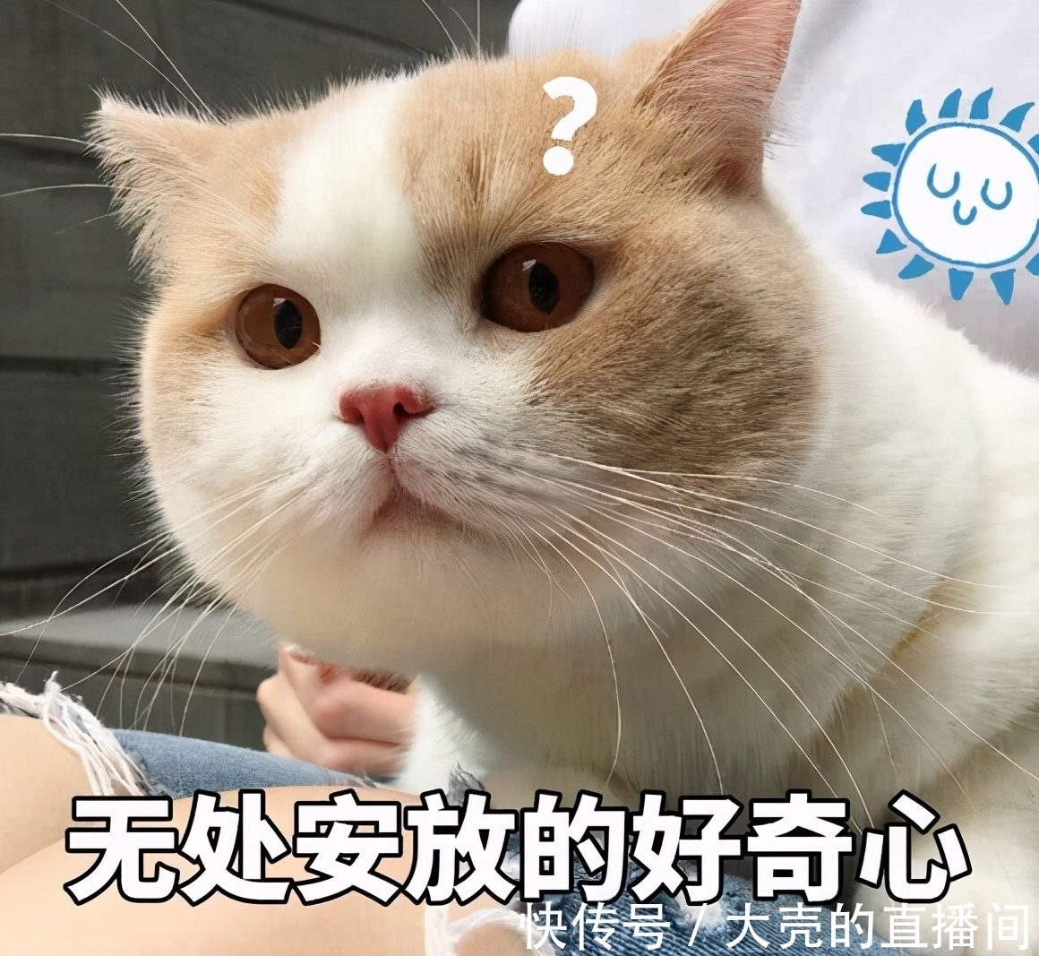 文案|有毒!现在的小说真敢编,无脑又搞笑的文案让人根本停不下来!