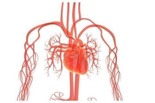 人体|身体上这个位置越软,你就越健康越长寿,不妨自己摸一下!