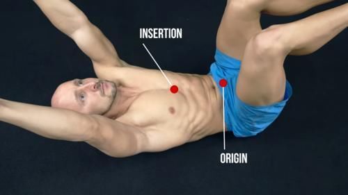 髋屈肌|练腹总是找不到感觉？核心力量薄弱、2个动作帮你解决！