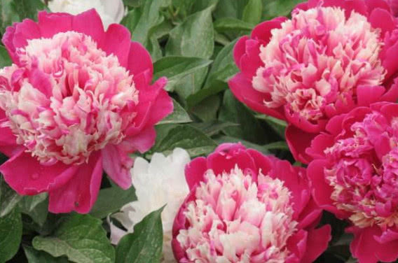 人生苦短$自认才华在柳永之上,这首词果然轻狂年过五十,别再烦恼