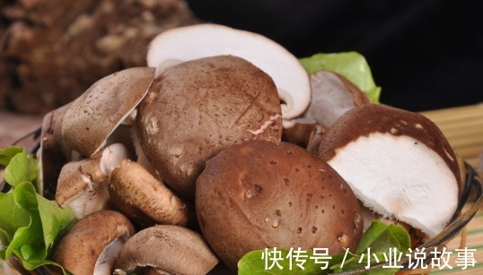 香菇|春天的“蔬菜之王”,十几元一斤也要买,常吃受益全家人