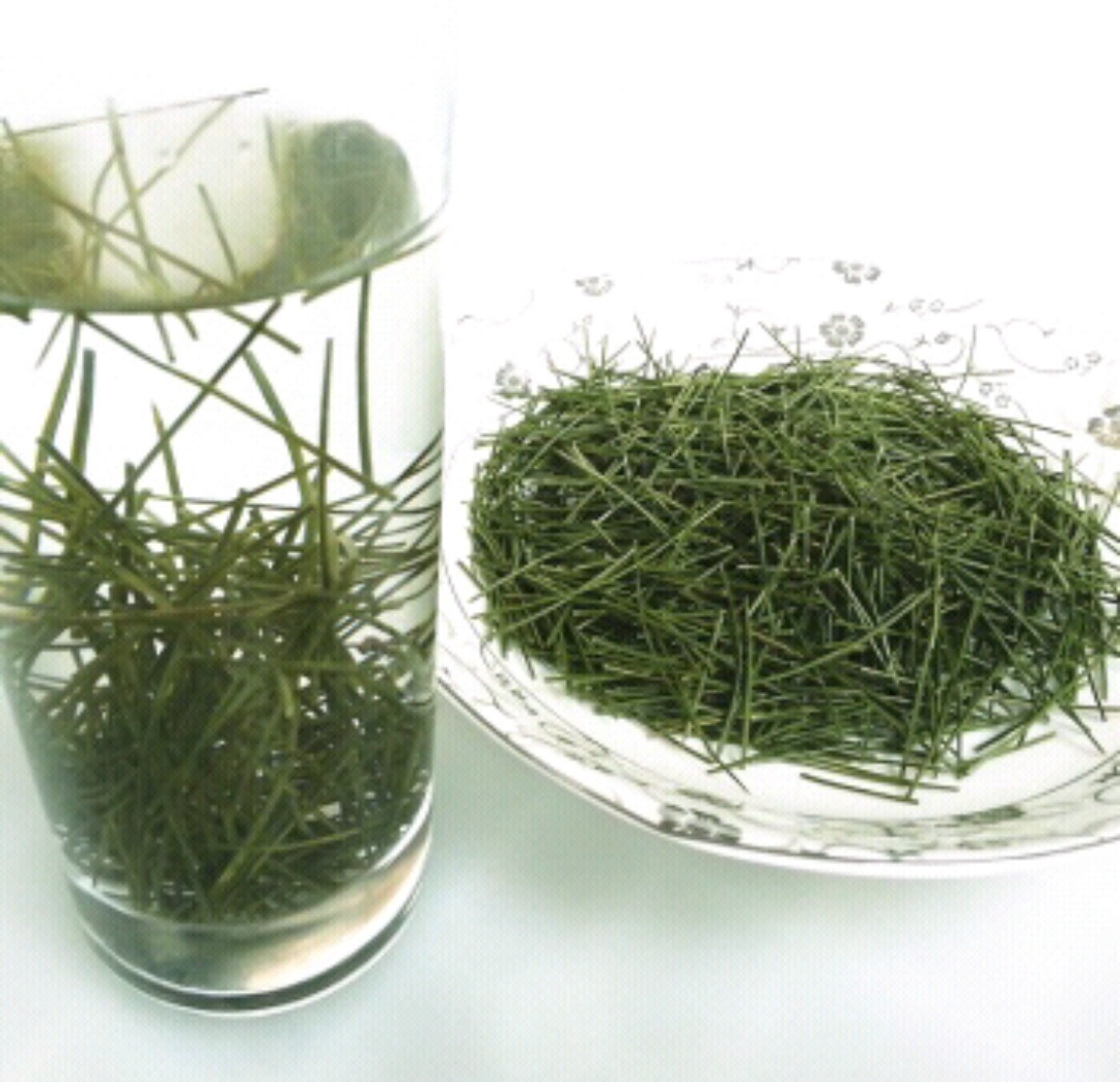 保健品|山里的这“针”,能治便秘与失眠,必要时还是急救良药