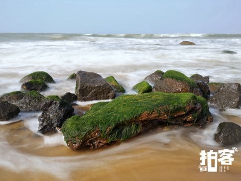 海口海湾有片“绿石滩”|拍客 |海口海湾有片“绿石滩”\＂,\＂i16\＂:\＂拍客