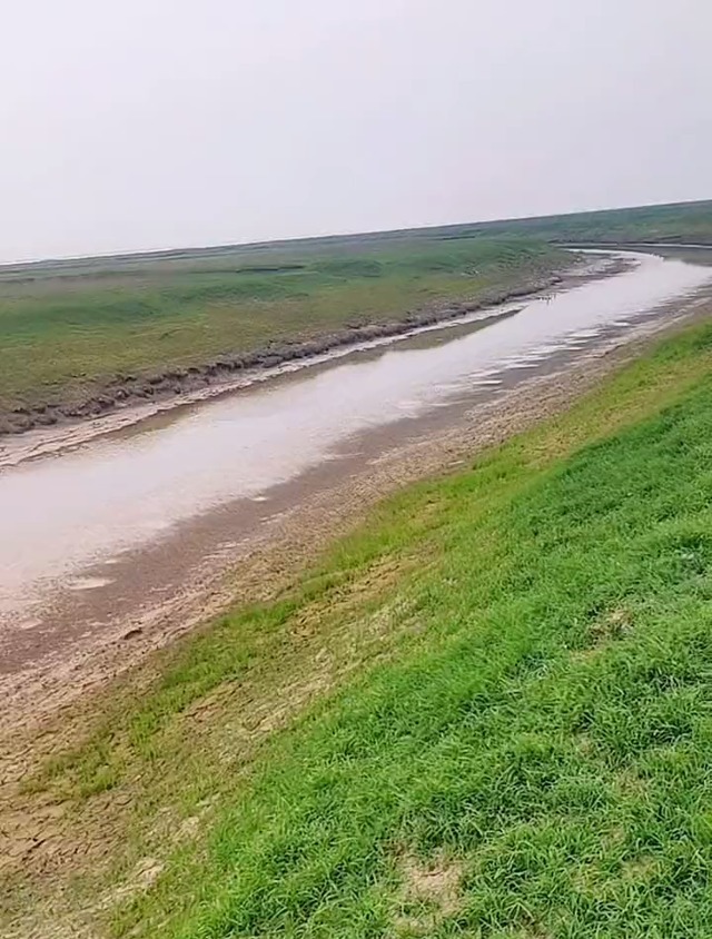 实拍洞庭湖退水后的滩涂,大鱼被人捡走,挑剩的小鱼在淤泥里等死