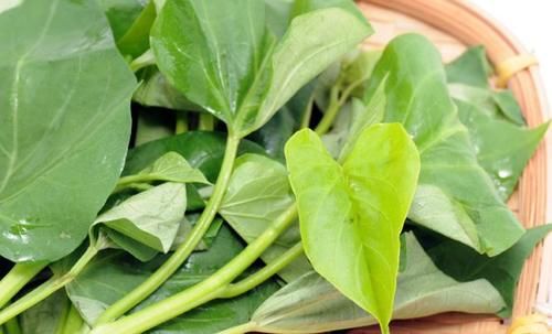 湿毒|人到中年，坚持常吃的食物，排毒消脂，肌肤水嫩又细腻