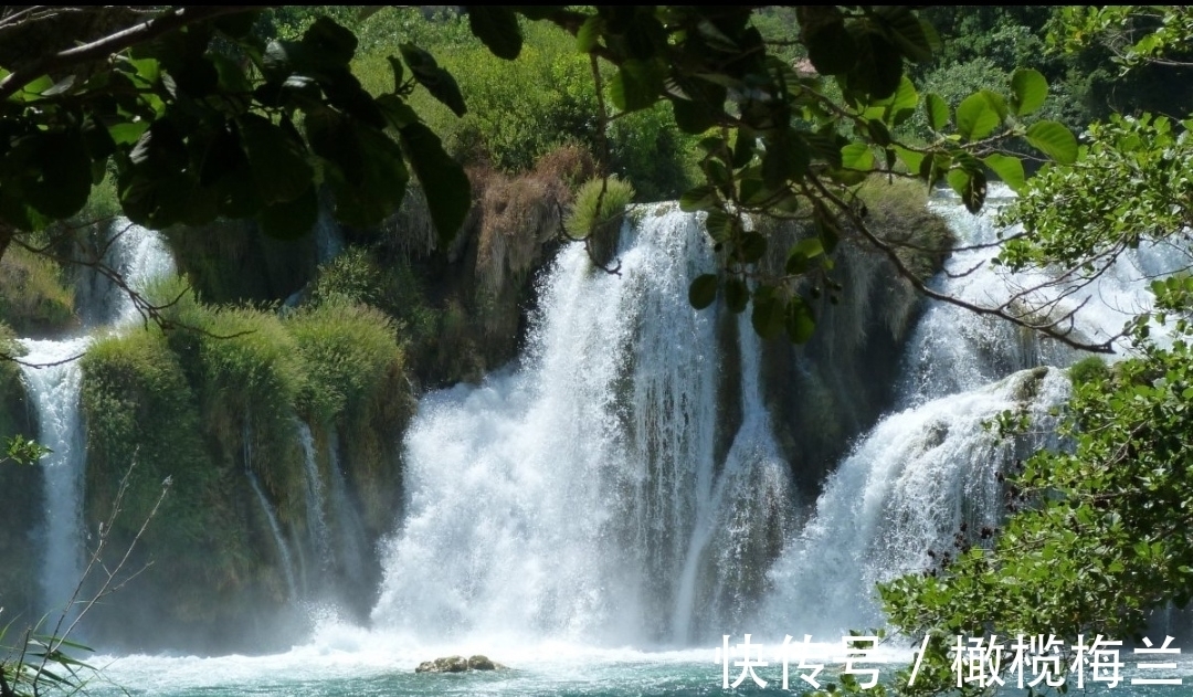 传世|【诗词欣赏】品读五首小诗，欣赏中唐时期代表诗人的传世佳作