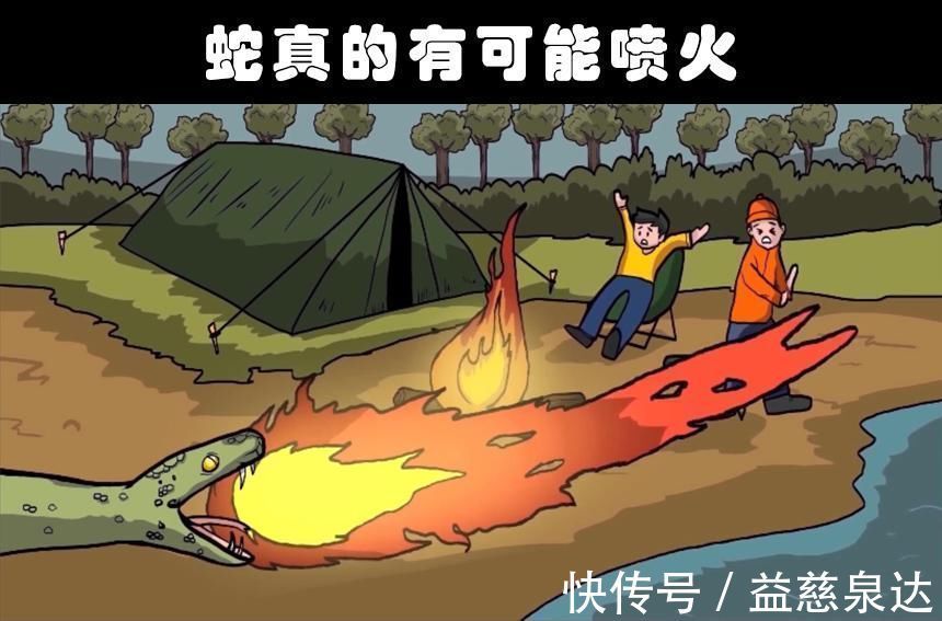 有趣事实这个世界上存在着的8个奇怪的冷知识