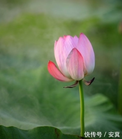 属相|进入10月，吉星关照，4属相贵人相助，财源广进，生活锦上添花