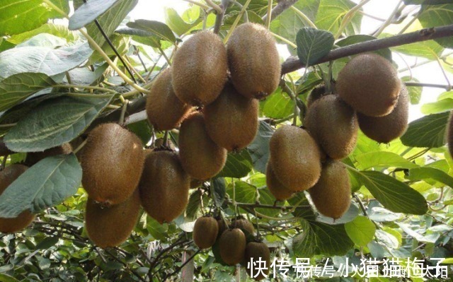 安睡|如果你晚上经常失眠，睡前试试这个，让你安睡一整夜！