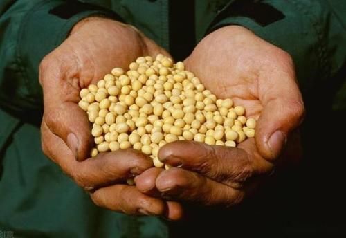 男孩|14男孩身高突破178,儿科医生:3物或是身高“拉长剂”,建议多吃