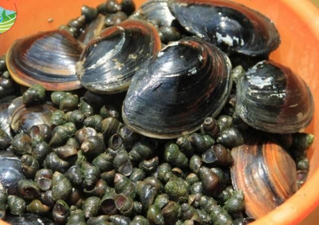 快过年了,客家农村“旱鱼塘”,你还记得吗?