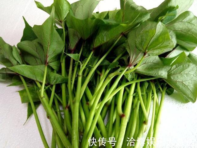 木耳菜|3种吃剩的“菜杆子”,丢土里,长成一片“绿萝”,3天采摘一大盆