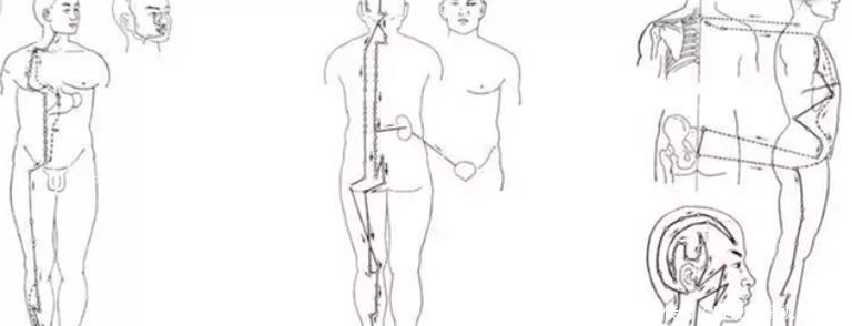 人老腿先老，一个小动作，打通6条经络，让腿和身体更强健!