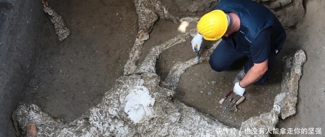 成人礼|考古学家发现庞贝“城主”,6千人参加其成人礼,皇帝都听他的话