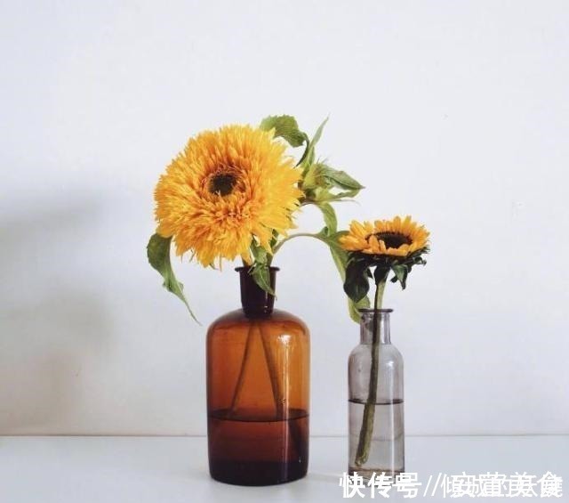 一段话|读懂受益终生的一段话，精辟睿智，值得深思！