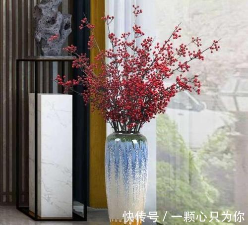 “新宠”北美冬青气质款植物,观果植物中的轻奢品