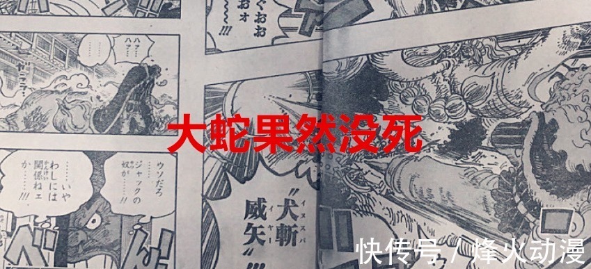 龙蛋|海贼王1026话:大蛇果然还没死,桃之助咬住了凯多的“龙蛋”?