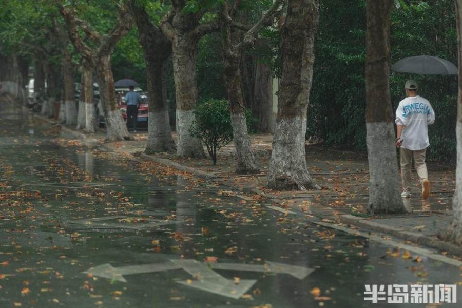 雨中漫步八大关