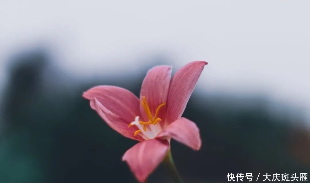 尊重|尊重(写得真好)