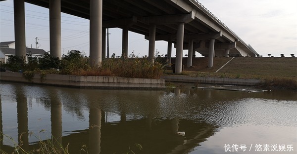 钓组|大雪之后钓鲫鱼,应该用这种钓法了,气温虽然低,渔获也能有保证