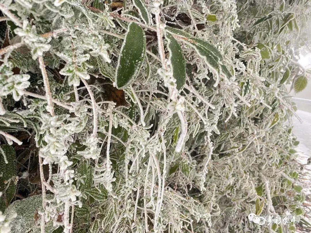 记忆 ｜寒潮再次来袭，还记得前几天的雪吗？