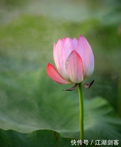 10月中旬，吉星照耀，4属相运势上涨，生活顺风顺水