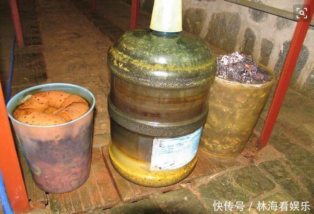 肥料|淘米水、羊粪水都不如2种肥,啥花都通用,养啥花爆啥花