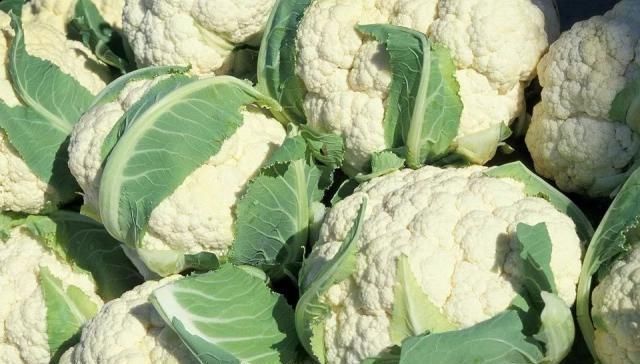 买花菜时 选散花还是紧花老菜农别再买错了 难吃又浪费钱 粉紫色