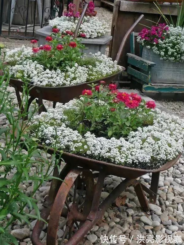 神器|别再花钱买普通花盆了,你意想不到的种花神器!