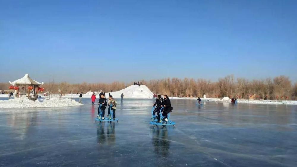 邂逅|这个冬天来金塔沙漠胡杨林，邂逅一场不一样的冰雪奇缘~