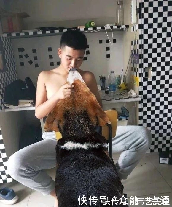 |搞笑p图：求大神帮忙在电梯里p个男朋友，大神的回复有点皮啊！