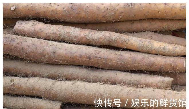 麻山药|山药大量上市，关于山药的小秘密，你应该知道，请告诉身边的朋友