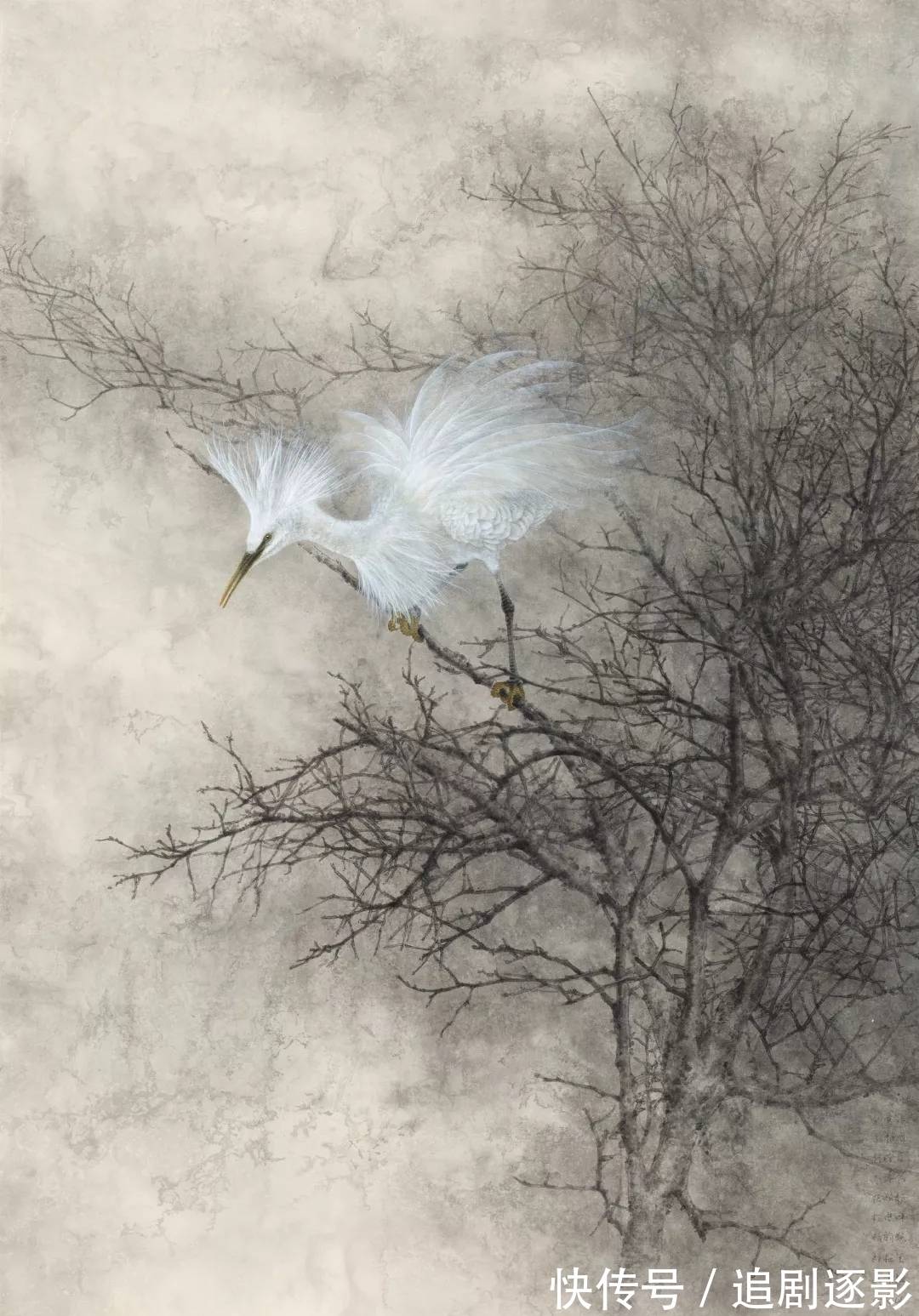 万利民@花鸟画|万利民,一个画孔雀的丹青妙手