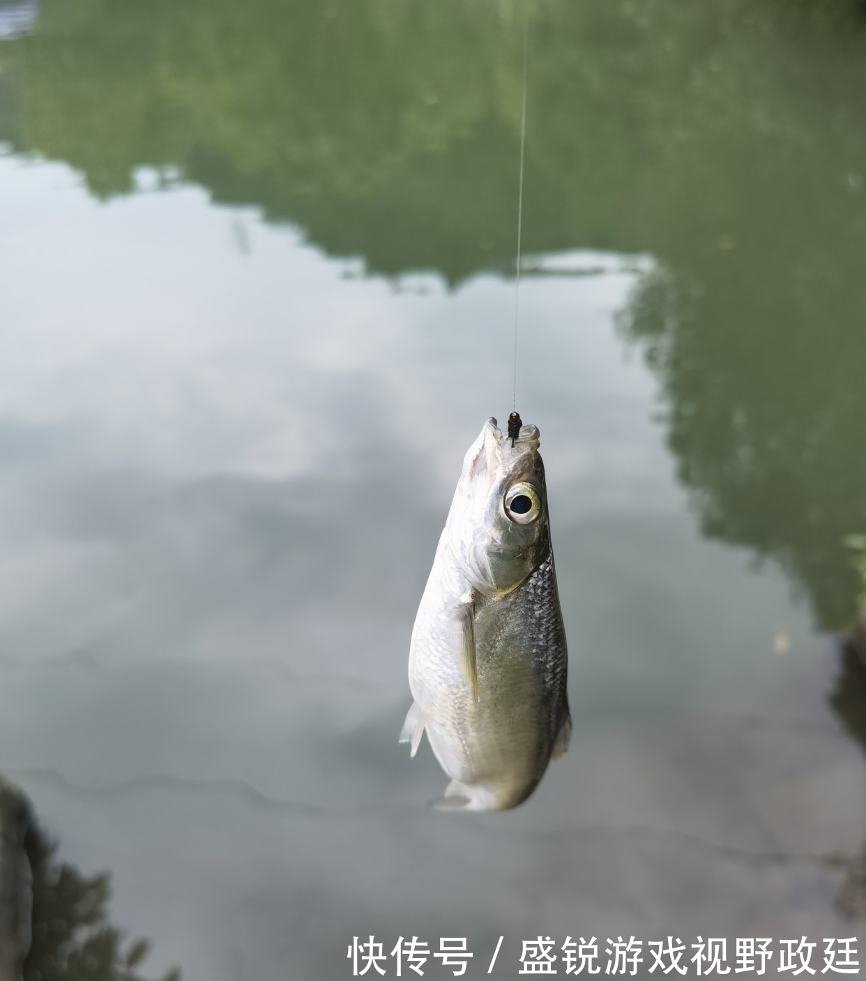 子线|钓鱼中鱼率低?与事俱进懂不!不看看你还想继续空军吗?