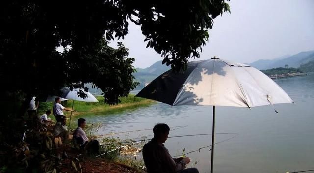 钓鱼打窝时,注意这3点,熟记5须知,钓好鱼不难