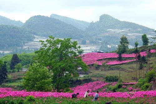 四川这个县,位置很特别,从地图上看,完全处于贵州内部