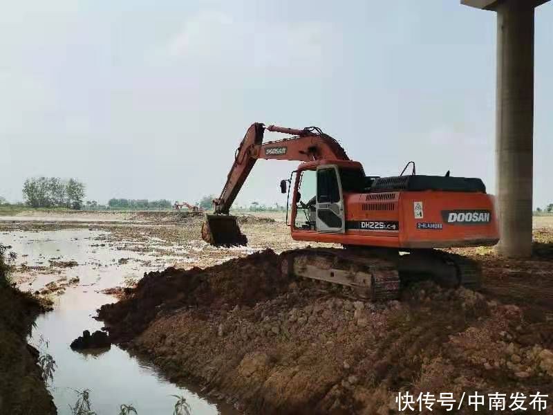 生态|向阳湖生态印象