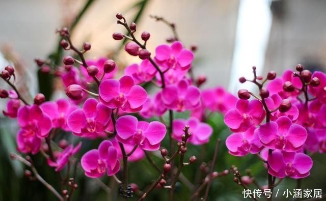 方法|盆土变硬“板结”严重,不用换土,加这3样变新土