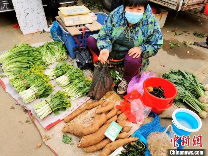 李晓春|“淀粉之王”木薯：广东台山人冬日的乡间美味