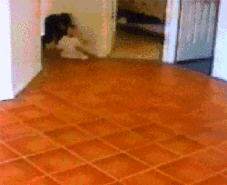 |搞笑GIF:漂亮的妹子都很有礼貌