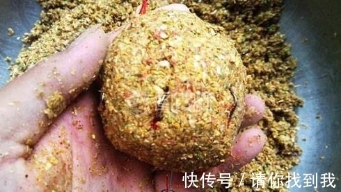 钓友|爆炸钩钓鲤鱼(技巧分享)