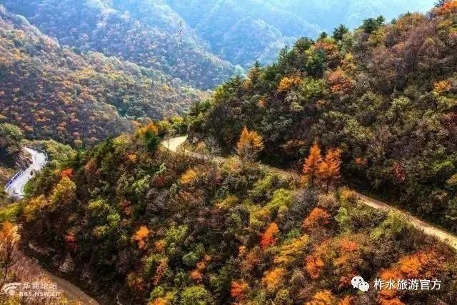 低薪|春花秋月、夏蝉冬雪，与你一起看遍柞水的春夏秋冬