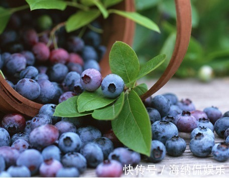 吃什么水果减肥快,告诉你这八种水果有效减脂