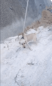 |搞笑GIF趣图妹子你在我面前摇啥呀,都摇晕了!