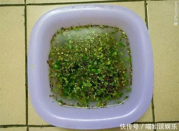 它是天然“生根剂”，给花浇一点，根系壮猛发芽！