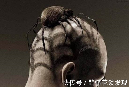 奇葩|整个这头型,想不火都难啊!2017年末10大奇葩搞笑发型大盘点